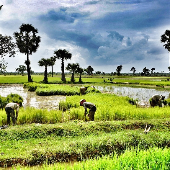 The Trilogy of Mountains Challenge in Angkor Temples (7)