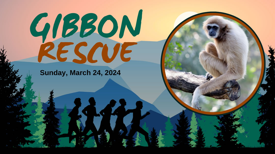 Rescue-Gibbon